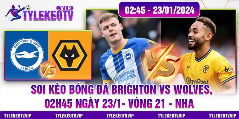 Soi kèo Bóng Đá Brighton Vs Wolves