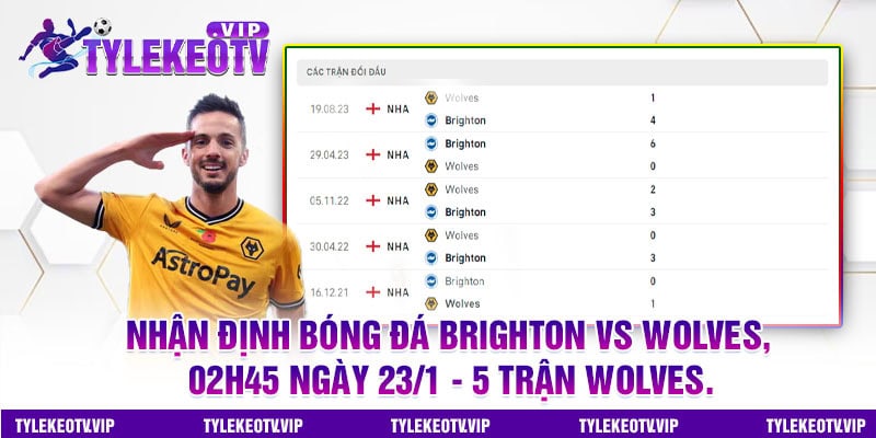 bóng đá Brighton vs Wolves