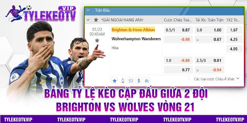 tỷ lệ kèo Brighton vs Wolves 