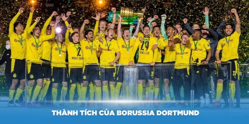 Những thành tích của Borussia Dortmund trong phòng truyền thống CLB