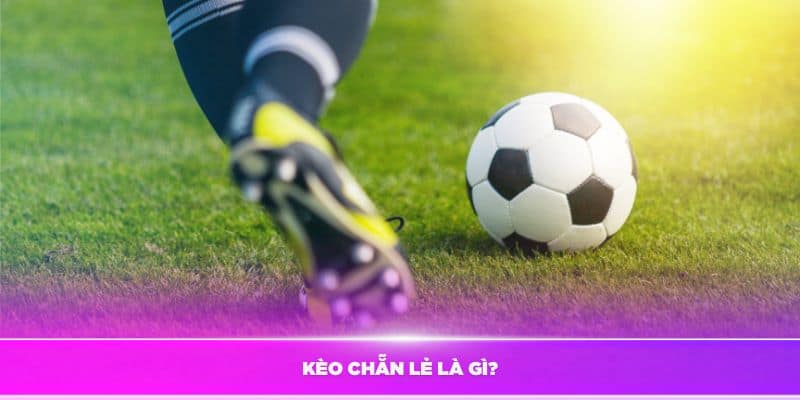 Kèo chẵn lẻ là gì? Hướng dẫn chi tiết cách đặt cược hiệu quả từ Tỷ Lệ Kèo